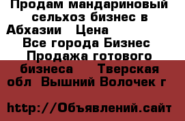 Продам мандариновый сельхоз-бизнес в Абхазии › Цена ­ 1 000 000 - Все города Бизнес » Продажа готового бизнеса   . Тверская обл.,Вышний Волочек г.